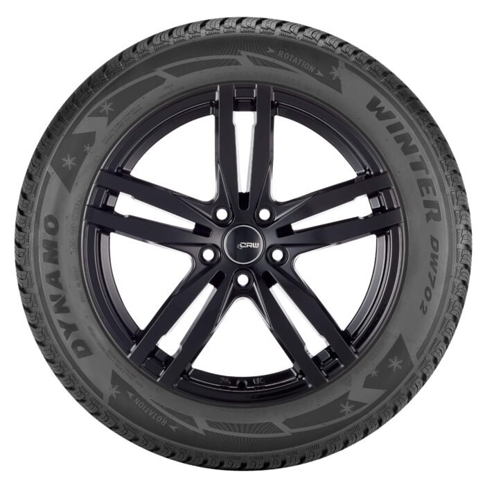 Dynamo DW702 Winter Tire